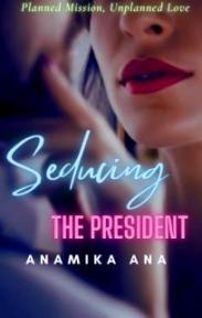Seducing The President by Anamika An - Book Cover Background
