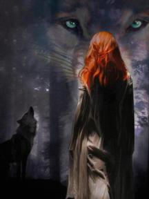 Survivor by D.Ford - Book Cover Background