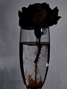 Roses Are Red, Peony Is Deadly by Shen Garden - Book Cover Background