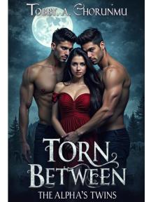 TORN BETWEEN THE ALPHA'S TWINS by TOBBY A SHORUNMU - Book Cover