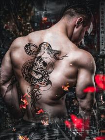 My Fated Mate( Alpha Lucious) by Elk Entertainment - Book Cover