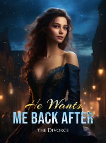 He Wants Me Back After the Divorce by Little Mermaid - Book Cover