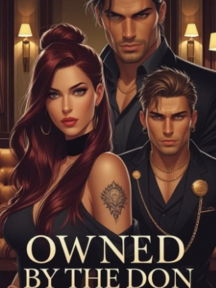 Owned By The Don by Ms. O The Writer - Book Cover