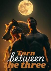 TORN BETWEEN THE THREE by Pres Tige - Book Cover