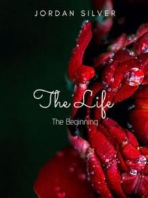 The Life The Beginning by Jordan Silver - Book Cover