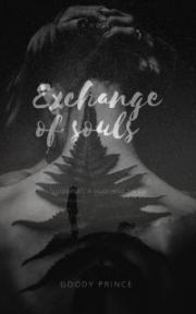 Exchange of Souls by NewEraCulture - Book Cover Background