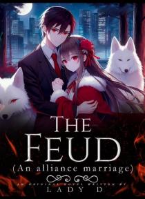 The feud by Lady d - Book Cover