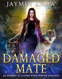 Damaged Mate by Jaymin - Book Cover Background