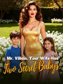 Mr. Villain, Your Wife Has Two Secret Babys! by Mary - Book Cover