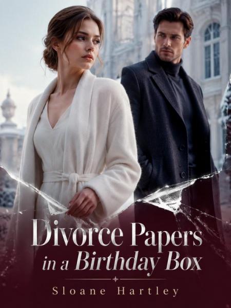 Divorce Papers in a Birthday Box by Sloane Hartley - Book Cover